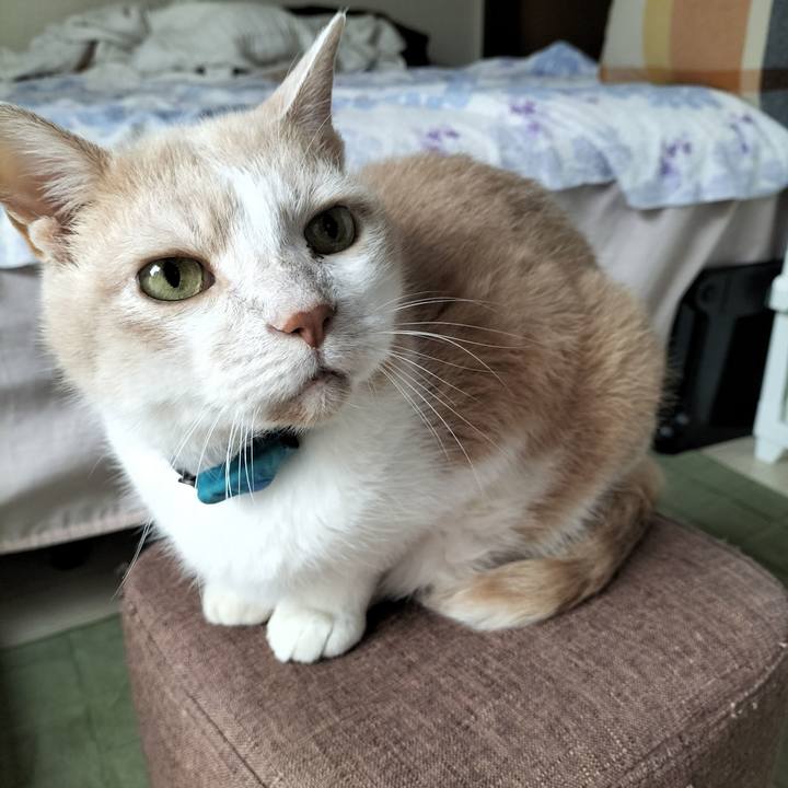 641a5992 0899 45a3 994f 3e2be1c94ff1 1656885265498