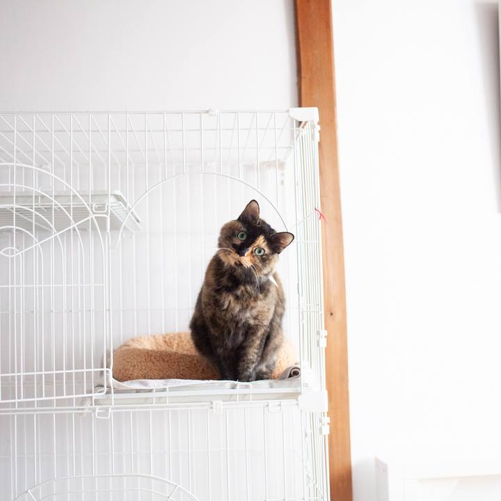 641aa514 277c 4c49 ab7c 1792097de146 1573049860061