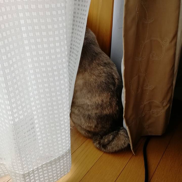 641ab063 599e 419f a963 634f2da12211 1544924517344