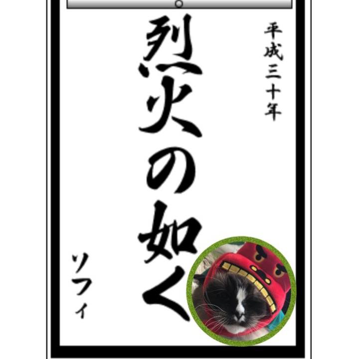 641af7cf 8683 4a1d a82e f43eb7b68d73 1514739168465