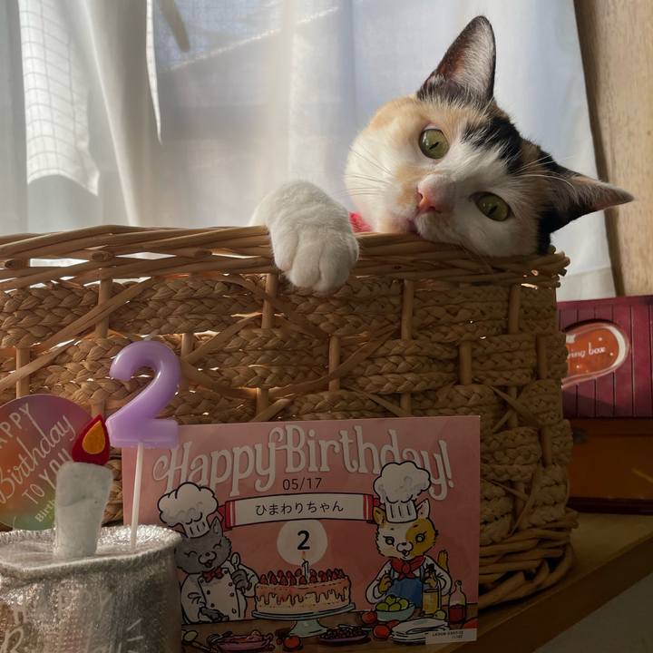 641b0889 6fb7 4f7e b87f 1be11c3c7fe4 1715901670980