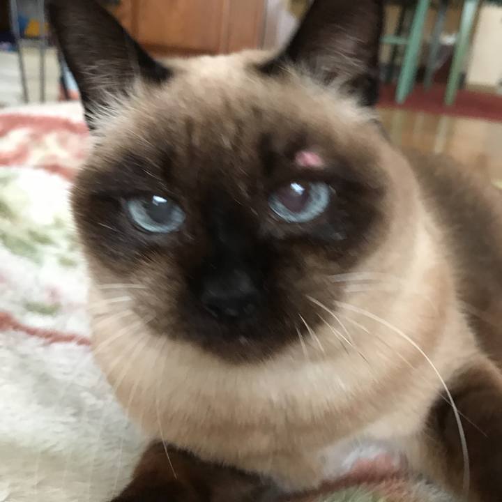 641b2648 ba4e 4366 a388 96381e196551 1520047442595