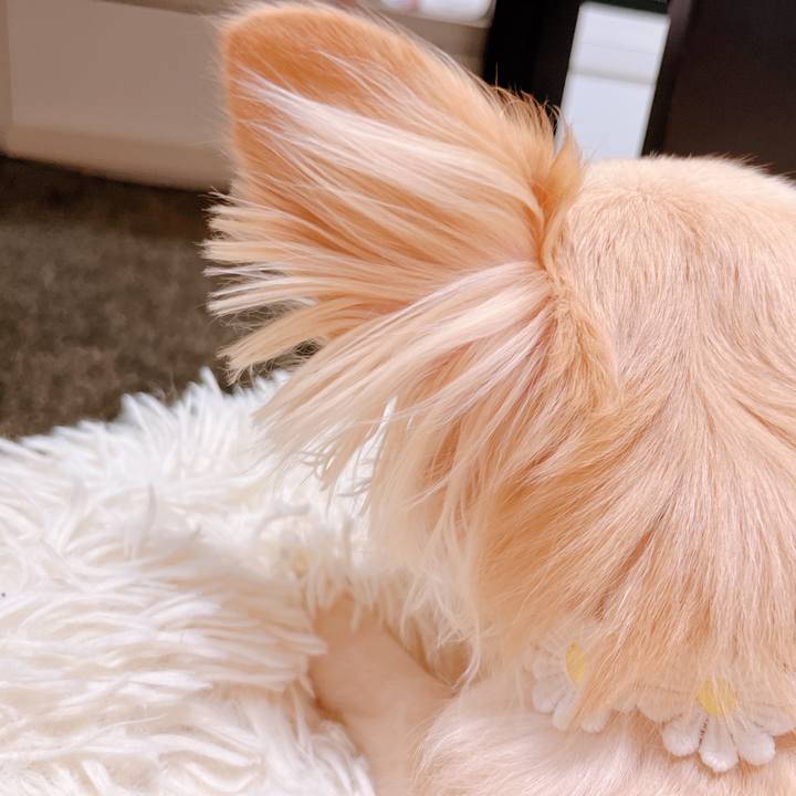 641b3172 15d2 43b3 8798 45491c29a742 1657197901126