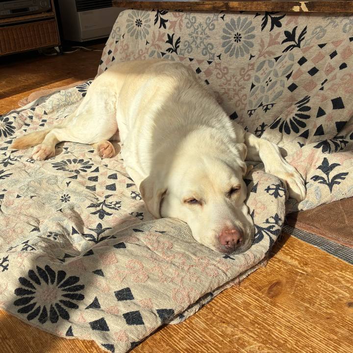 641b427d 9b1b 446e 8a1c a57e01c8c421 1765505223444