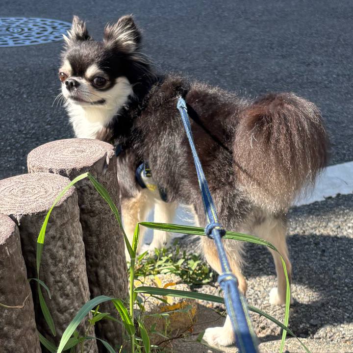 641b4cc5 2250 4c47 a14a a529ebd87068 1755276596984