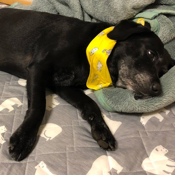 641b513f 11eb 4130 ae9b be5993019a6f 1567432332847