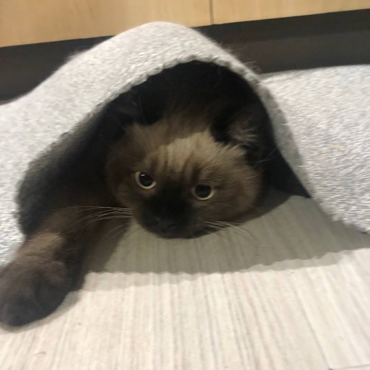 641b5f28 f0d1 4ffb b31e 555e75c54022 1590549189016