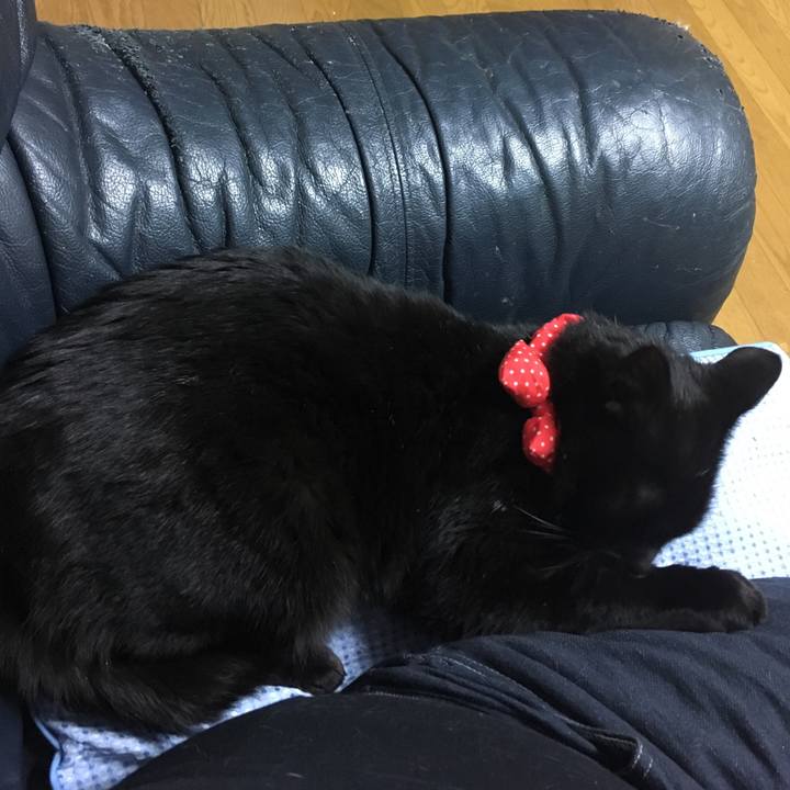 641b71ab a457 458b 9ba2 0ca3a30305e5 1544703419914