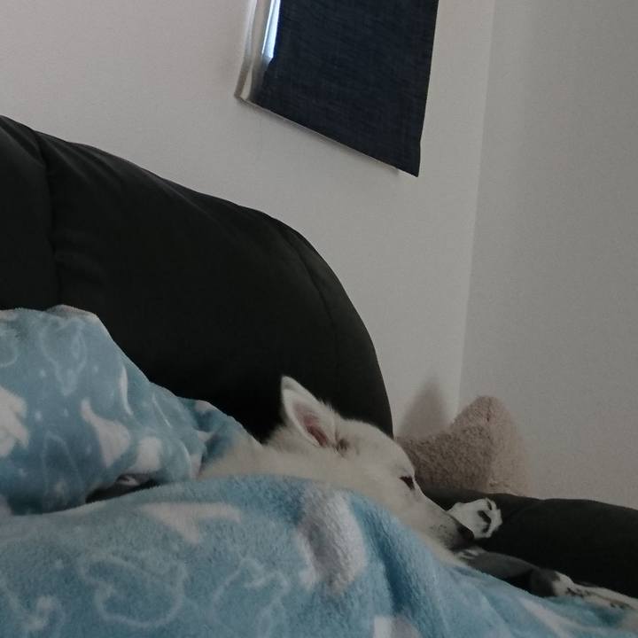 641b723e 3baa 42bf ae97 3a3cf6ce18f5 1583727671622