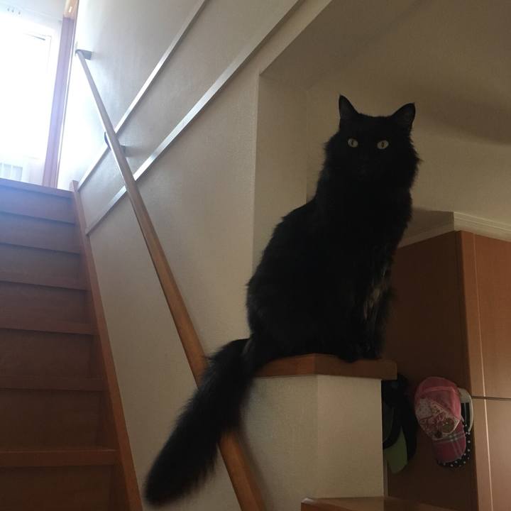 641b8672 3f84 4d77 bcbf 967d4d732604 1560470781043