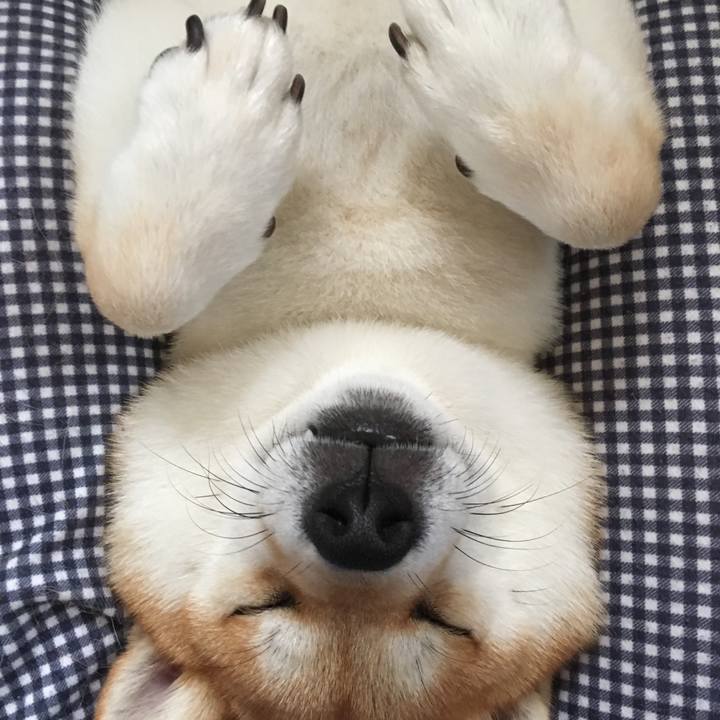 641bce11 eacf 4637 b94c e35c1d01ca32 1539055478461