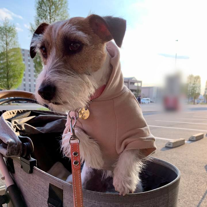 641c0378 3075 4806 bb87 eace12b09799 1618147256316