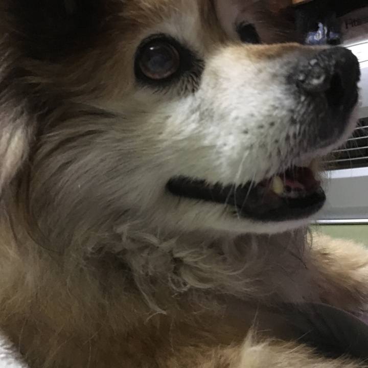 641c2f58 3da2 49d1 89f0 fe38db65dd37 1596417630507