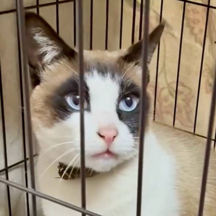 641c5c7d e4ca 47e6 b4ce 96f13502d758 1744167787837