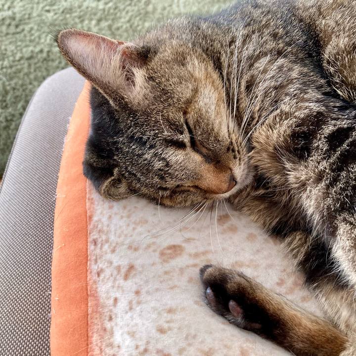 641c735c 68ca 490e afd0 4be44618e484 1671412389425