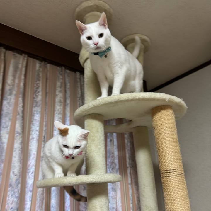 641cc03f 9259 46dc a673 240b6b6f3dea 1762773404163