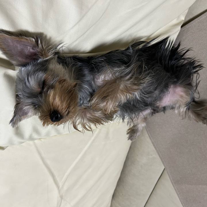 641d1204 3cd9 4bc2 a01b 4116e18d2254 1729254942304