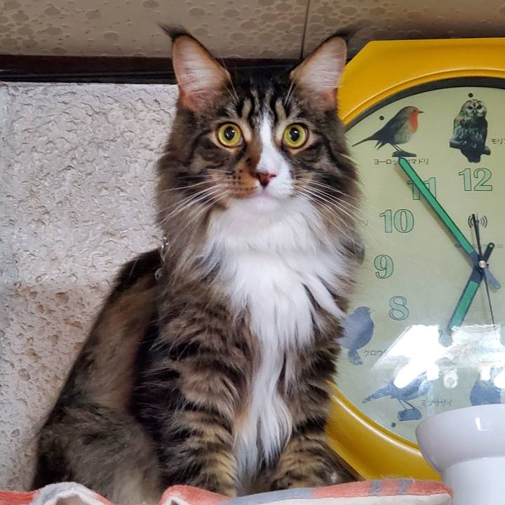 641d1a8a 1017 47d6 a174 162150c77a8f 1692154723557