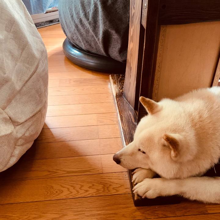 641d2c7f 4469 4e93 b789 782cf4980c16 1631337741356