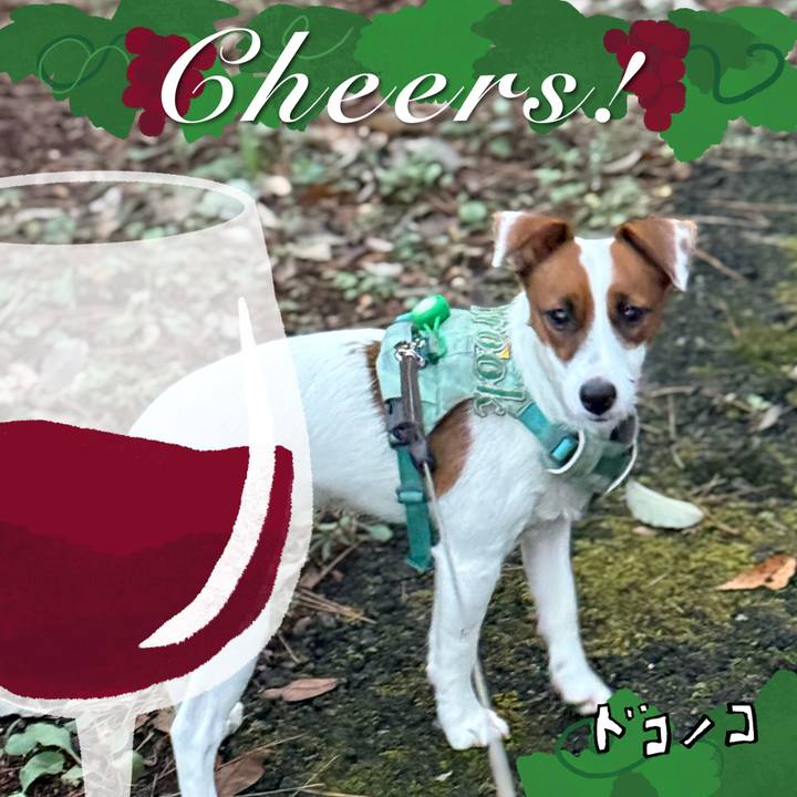 641d7756 5325 47bb 8d34 afd4f54c2db5 1761281153742