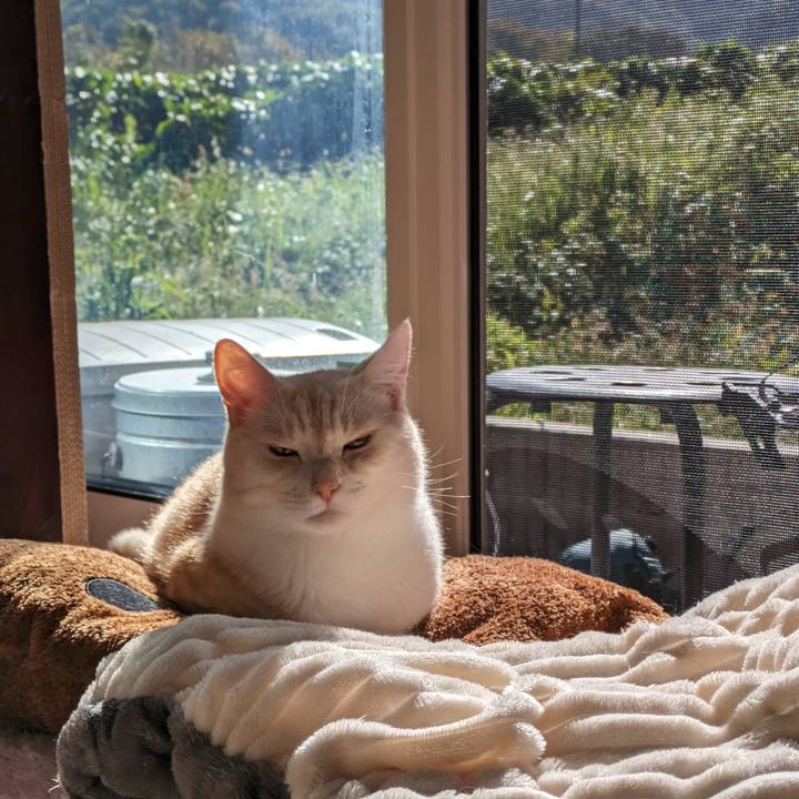 641d7a34 1b73 4558 be8d 9889c53ca216 1697068484759