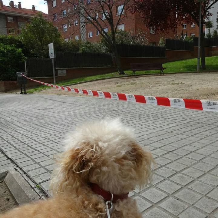 641db469 24b0 4771 a822 94c164253f7d 1585223881334