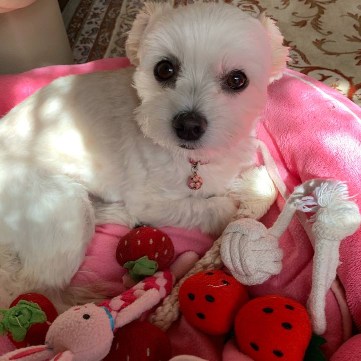 641dd34f 1371 41e4 a907 cd3b627056e0 1603592079301