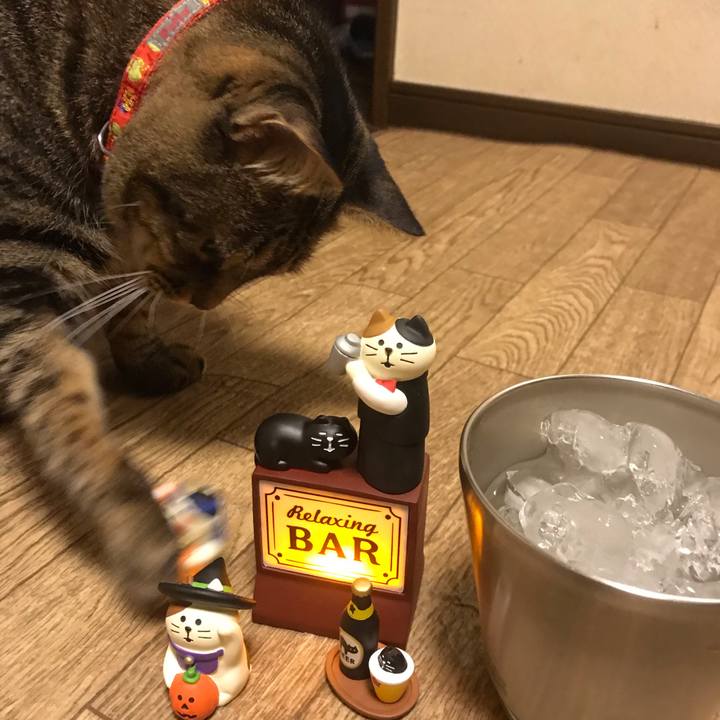 641dfdb3 d5f3 4a82 934e a2a4913dc540 1604330699606