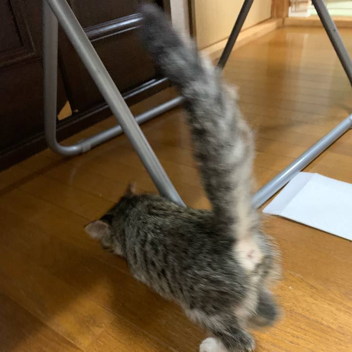 641e04ec 9ef7 4802 aa6d 06b4f15764cc 1687931860641