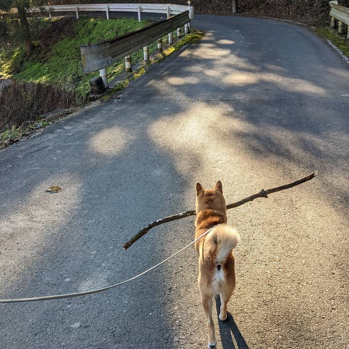 641e8621 46ac 41b9 9a33 8f52a14b79fa 1670816490771