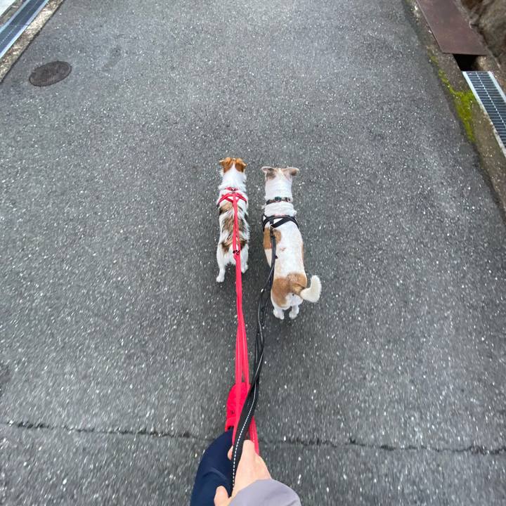 641e9cc6 1e03 4091 abd0 b045e538df8d 1636759143733