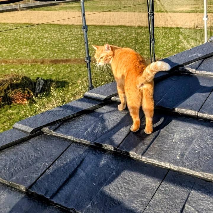 641e9eed a1c1 474e ab8f 191ca22150d6 1772669476236