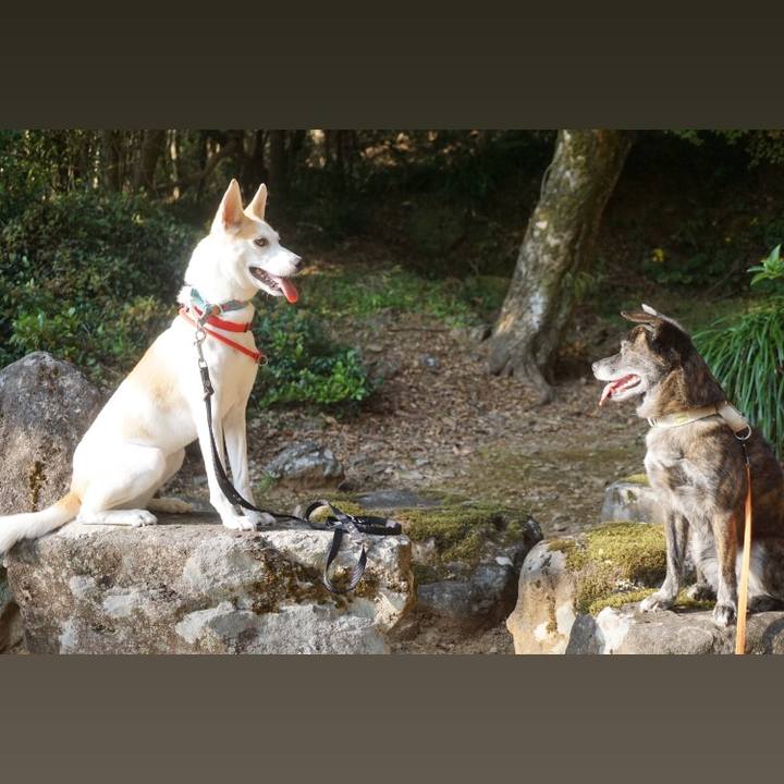 641eb82f 79b6 47bb 87f1 73f4065705eb 1605679759712