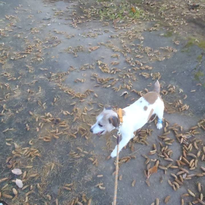 641ee8da dcab 424c b984 10190b967234 1544001697496