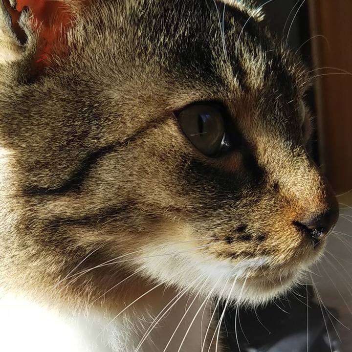 641eec50 1328 4bcb b3c1 d9118f5477ab 1609299858738