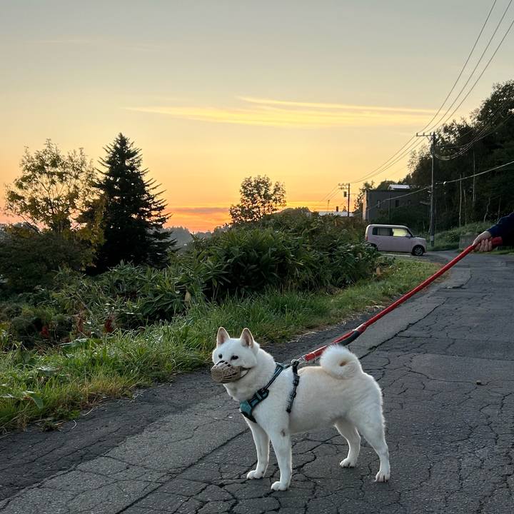 641f0f5f 5a9b 4409 8ceb 724b878bee9f 1759352575692