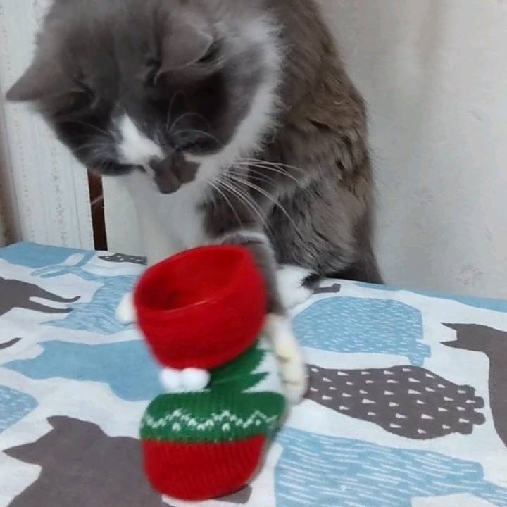 641f2806 ff0e 4f60 9487 29afe63257e3 1640346506888