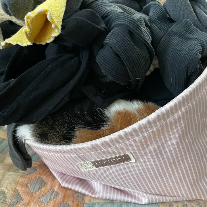 641f37a9 ab14 40a6 9c50 77ef68dd27bb 1674085102895