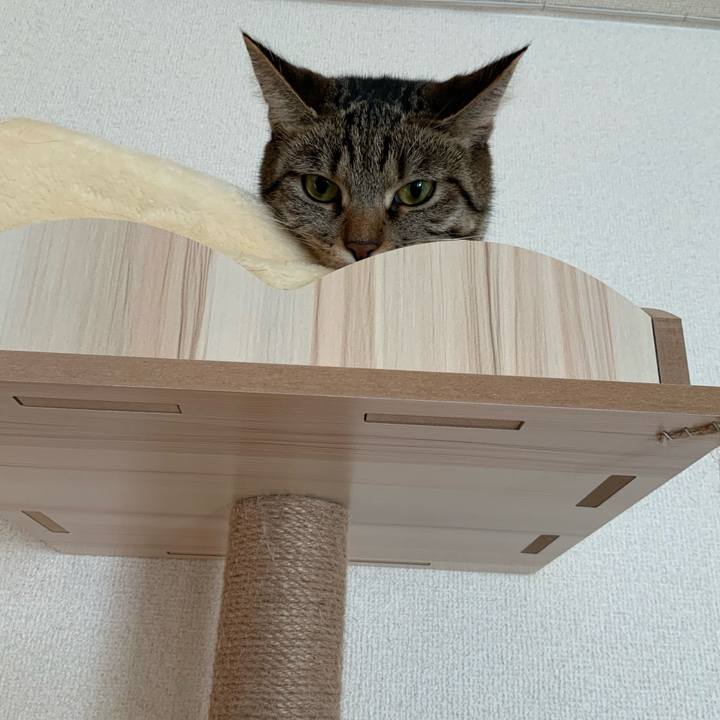 641f4eff f9c9 4d26 b919 10989afb6ec4 1673478108618