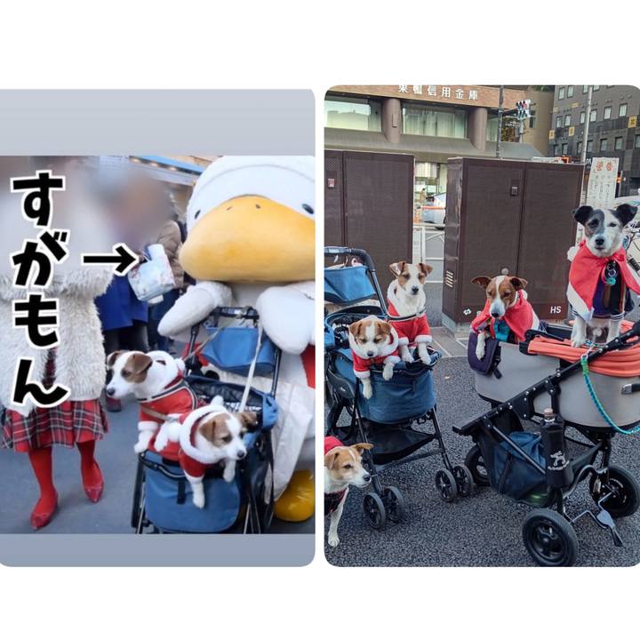 641f5699 68d8 4308 97f7 0b7048b620c3 1671956915410