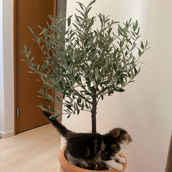 641f84cf e9f8 49e3 b2b5 e552b70b024b 1632134012376