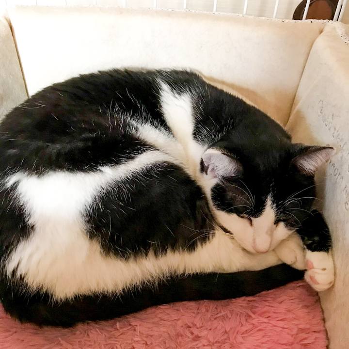 641fcf28 a52e 4560 bd9c 78230c641909 1517791788410