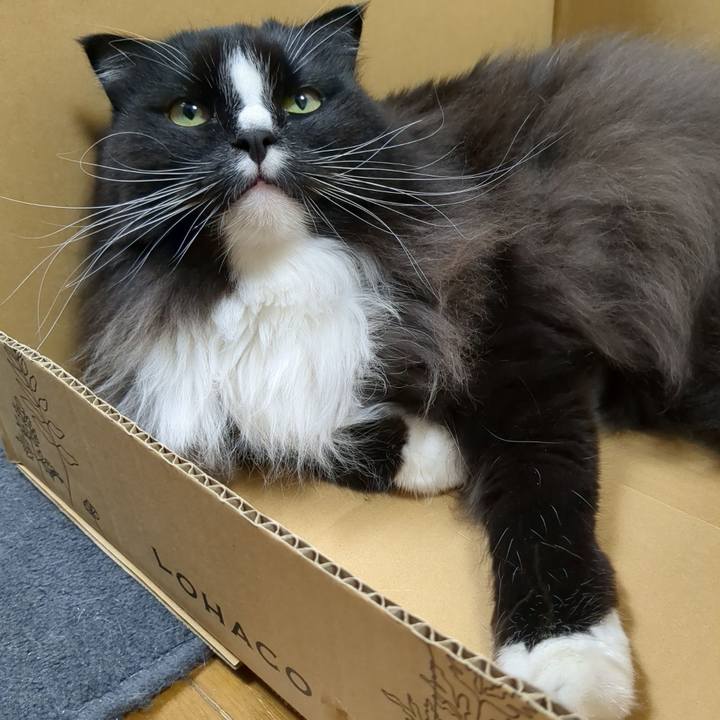 641ff2df 9c36 448d bec9 371c3d0eb231 1701954338289