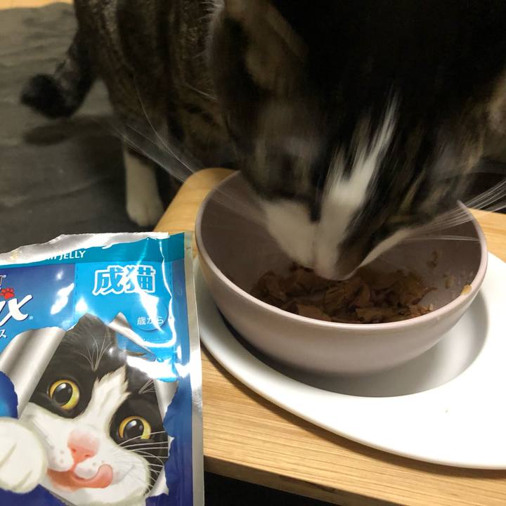 641ff8af e93c 475f a775 edadf390b8fa 1647792195888