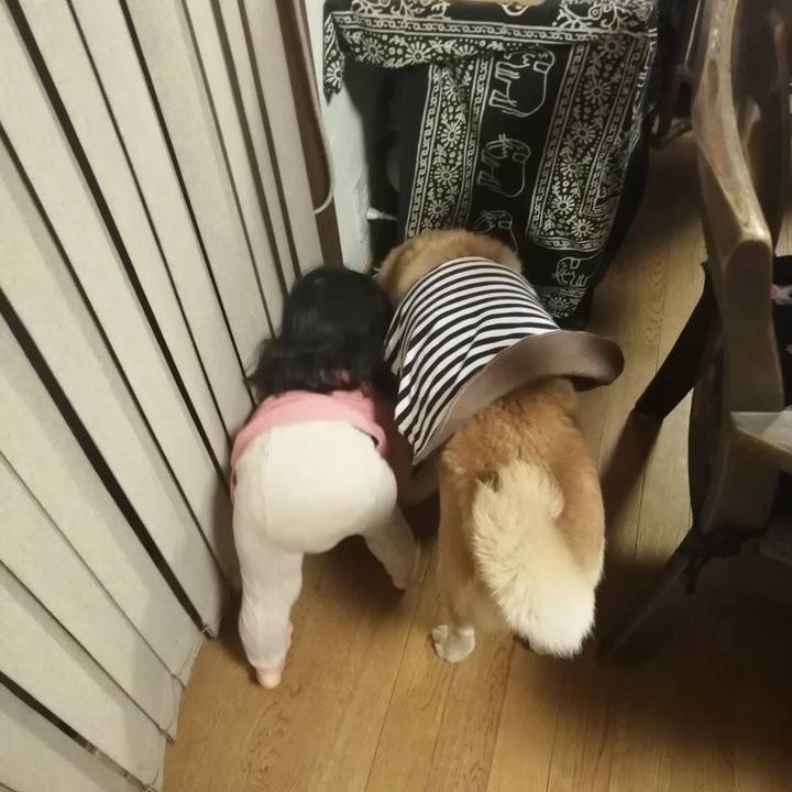 64203353 4a14 4eb7 b791 de24f1589719 1728359924447