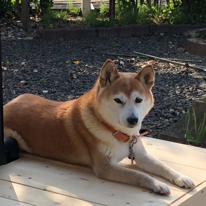 642039f0 3276 4b21 a8b0 95ad32a9abdf 1602298538855