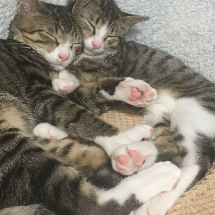 642052be e16a 4288 9c11 7d989422e189 1657734610106