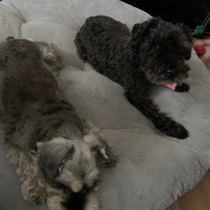 64206aff 7ad3 40c3 8029 c6bc7ec5c6cd 1667709355335