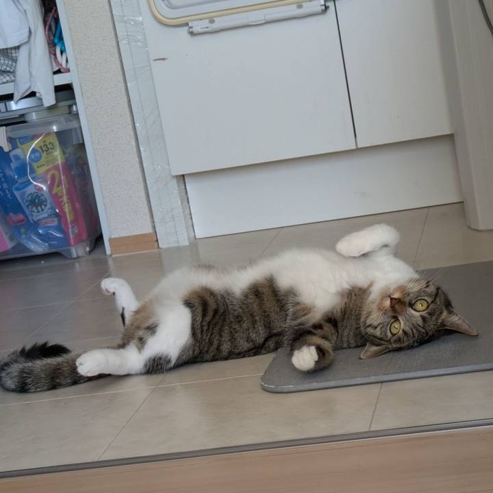 6420988d 088a 44f8 8f8c 5125f0bcc6ef 1722560674600