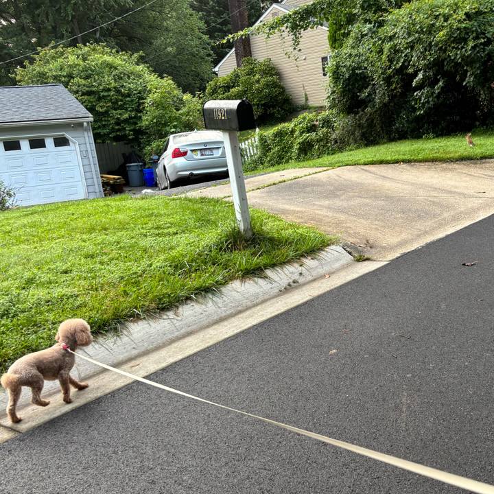 6421074f 800a 4c98 9701 8c45c3d5c529 1752683887103